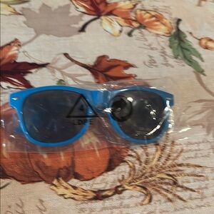 15/$5 Chic Blue Sunglasses